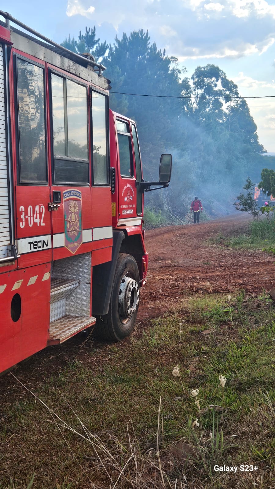 Controlan un incendio de malezas y pinar en Gobernador Roca iniciado tras la caída de un cable del tendido eléctrico 5 Controlan un incendio de malezas y pinar en Gobernador Roca iniciado tras la caída de un cable del tendido eléctrico imagen-4
