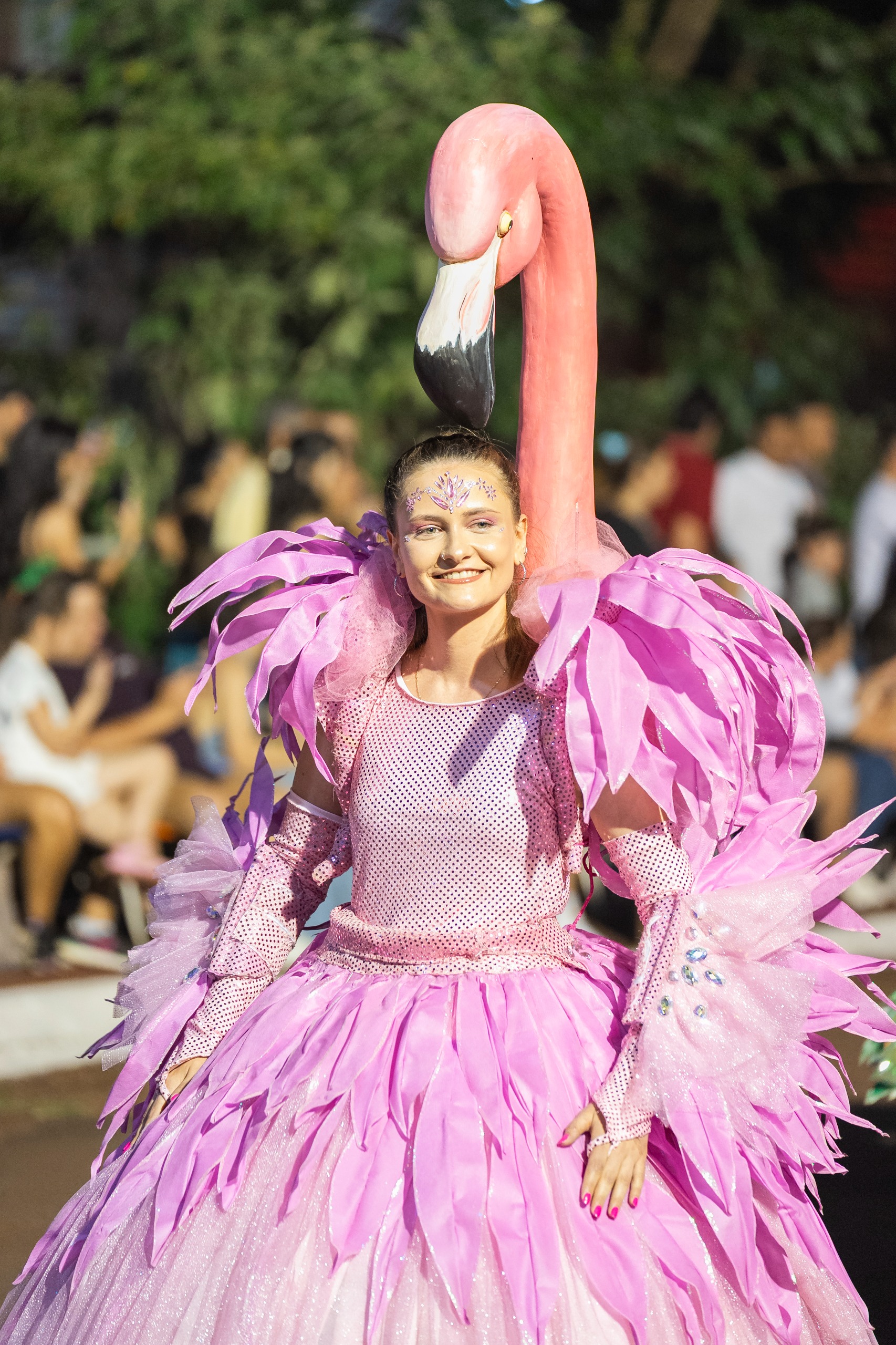 Alem a lo grande: Más de 40 mil personas celebraron el inicio de la Fiesta Nacional de la Navidad 19 Alem a lo grande: Más de 40 mil personas celebraron el inicio de la Fiesta Nacional de la Navidad imagen-18