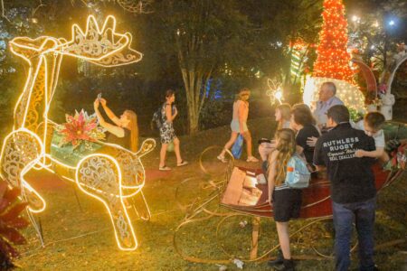 Alem vive un fin de semana inolvidable en la Fiesta Nacional de la Navidad del Litoral imagen-2