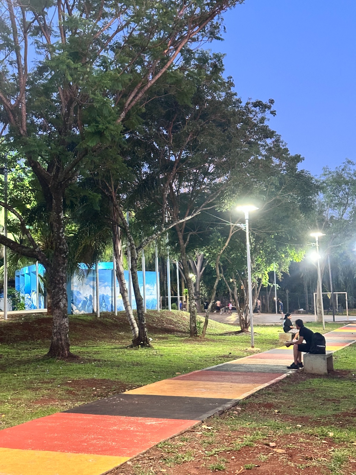 Puesta en valor de la Plaza "Teniente Estévez", con un mural homenaje a los Veteranos de Malvinas imagen-6