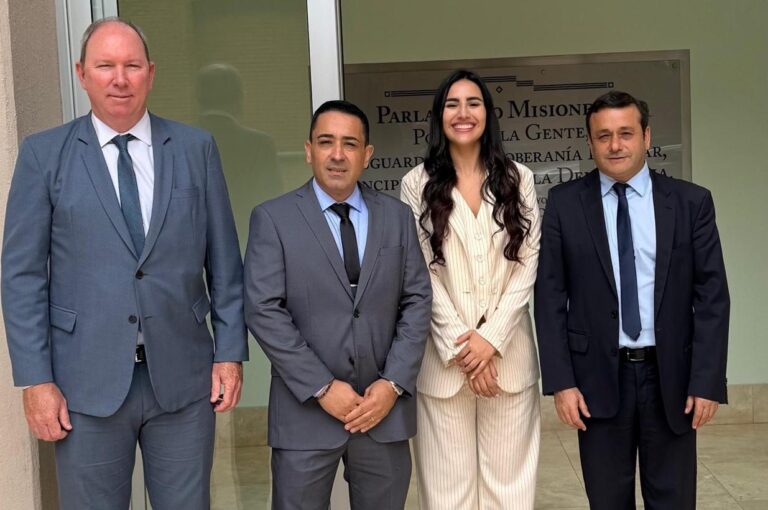 Presupuesto 2026: diputados misioneros presentaron una disidencia por la derogación de las emergencias en discapacidad y educación universitaria Presupuesto 2026: diputados misioneros presentaron una disidencia por la derogación de las emergencias en discapacidad y educación universitaria imagen-1