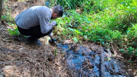 Ecología realizó controles de efluentes industriales en Apóstoles Ecología realizó controles de efluentes industriales en Apóstoles imagen-5