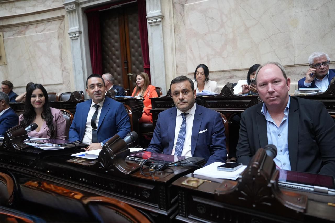 El Frente Renovador Neo y una disidencia crucial en la defensa de la discapacidad y la emergencia universitaria. imagen-14