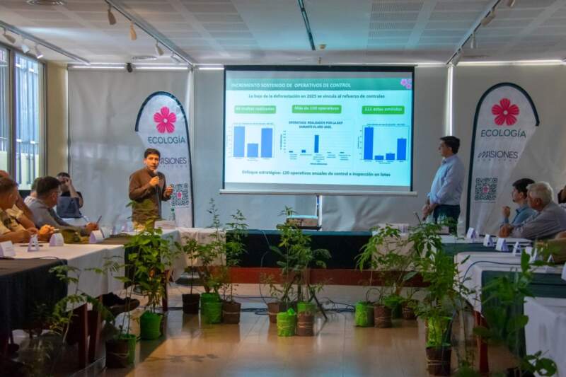 Misiones presentó avances en el monitoreo y la gestión de los bosques nativos y confirmó una reducción sostenida de la deforestación imagen-24