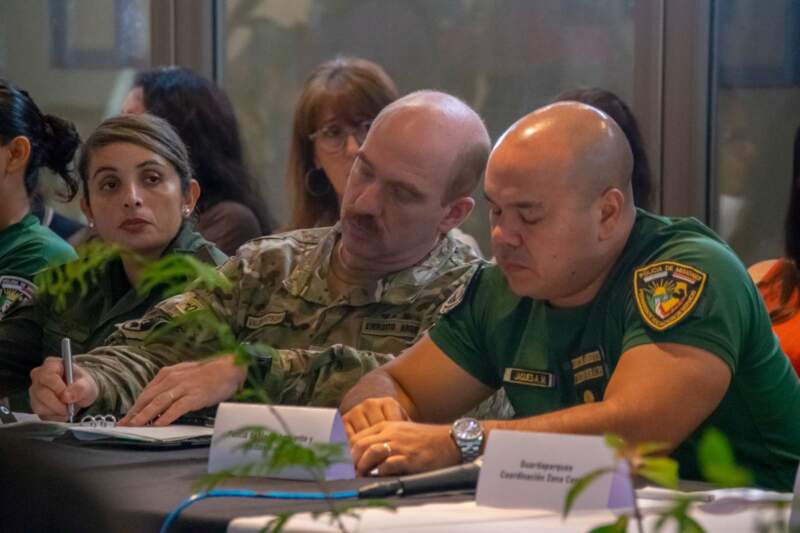 Misiones presentó avances en el monitoreo y la gestión de los bosques nativos y confirmó una reducción sostenida de la deforestación imagen-8