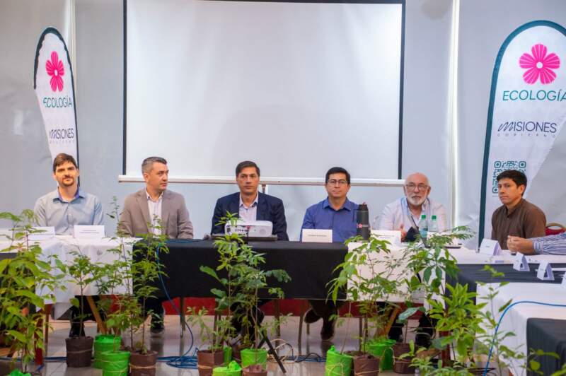 Misiones presentó avances en el monitoreo y la gestión de los bosques nativos y confirmó una reducción sostenida de la deforestación imagen-4