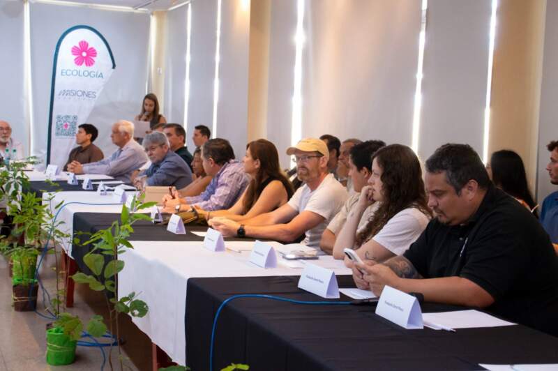 Misiones presentó avances en el monitoreo y la gestión de los bosques nativos y confirmó una reducción sostenida de la deforestación imagen-6