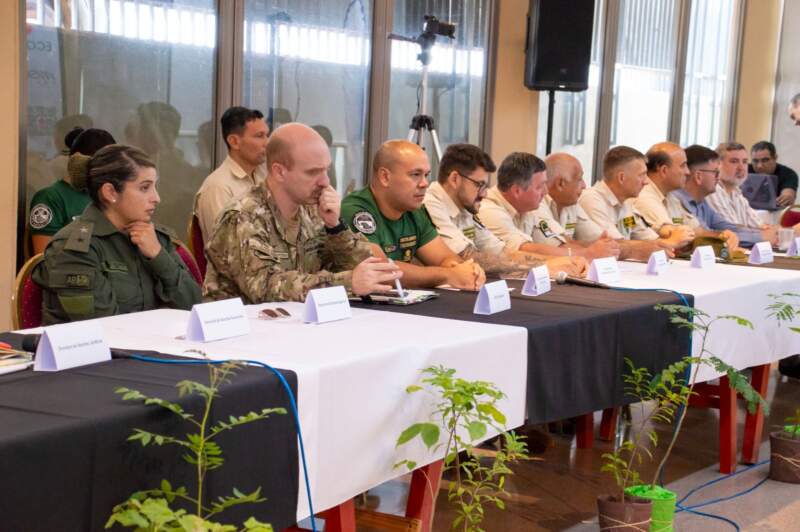 Misiones presentó avances en el monitoreo y la gestión de los bosques nativos y confirmó una reducción sostenida de la deforestación imagen-2