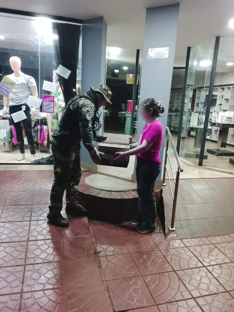 Rescatan a una lechuza herida que ingresó a una óptica de San Vicente imagen-2