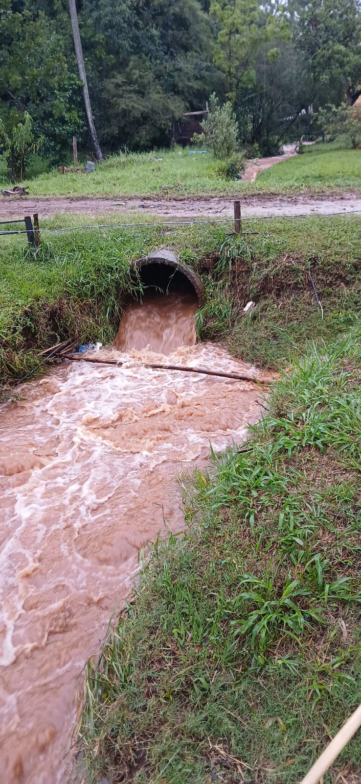 Anegamientos y desbordes de arroyos en Misiones por las intensas lluvias imagen-4