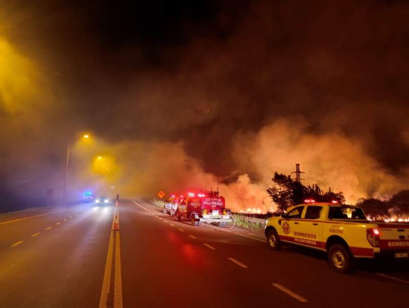 Guaraní: Controlaron un incendio de malezas en inmediaciones de la Ruta Nacional 14 imagen-6