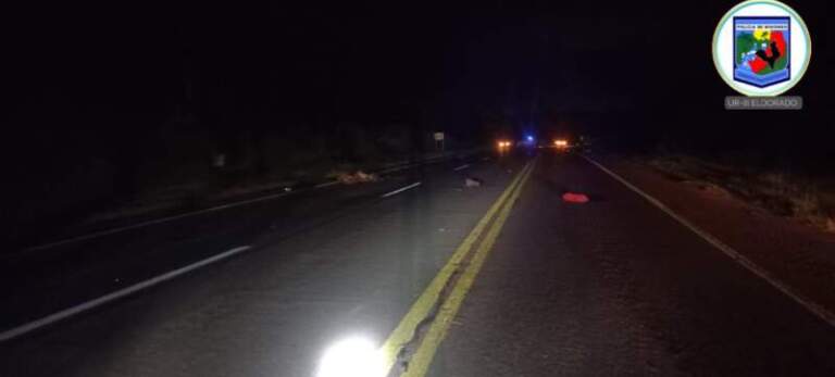 Colonia Victoria: dos personas fallecieron tras un siniestro vial sobre la Ruta Nacional 12 Colonia Victoria: dos personas fallecieron tras un siniestro vial sobre la Ruta Nacional 12 imagen-31