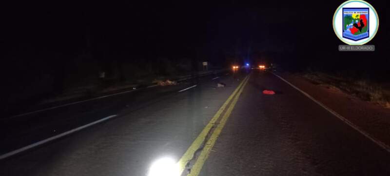 Colonia Victoria: dos personas fallecieron tras un siniestro vial sobre la Ruta Nacional 12 imagen-12