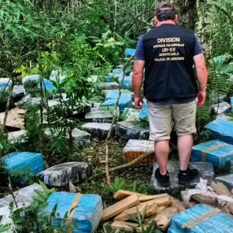 Más de 3,5 toneladas de marihuana valuadas en $13.300 millones: contundente golpe al narcotráfico en Misiones imagen-2