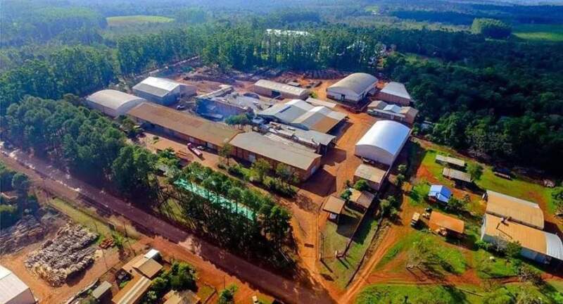 Crisis en la Cooperativa Yerbatera Andresito: suspensión de pagos bajo un presidente libertario defensor de la desregulación imagen-4