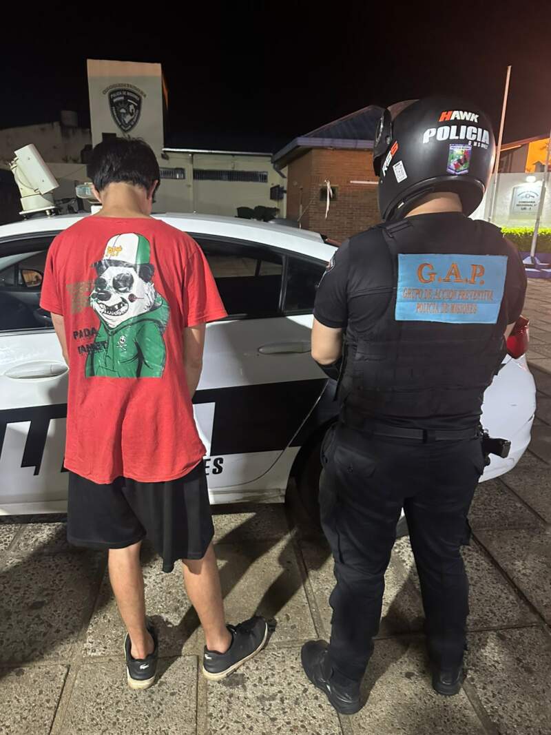 Detención en tiempo real: cámaras del 911 alertaron sobre un hombre intentando robar vehículos y casas en Posadas imagen-6