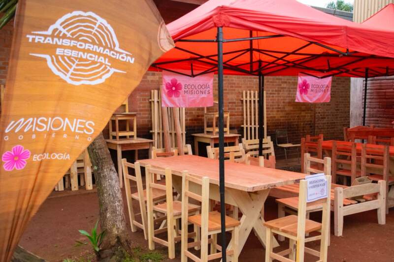 Ecología fortalece su sistema interno para centralizar datos, reforzar la trazabilidad y mejorar la gestión forestal imagen-2