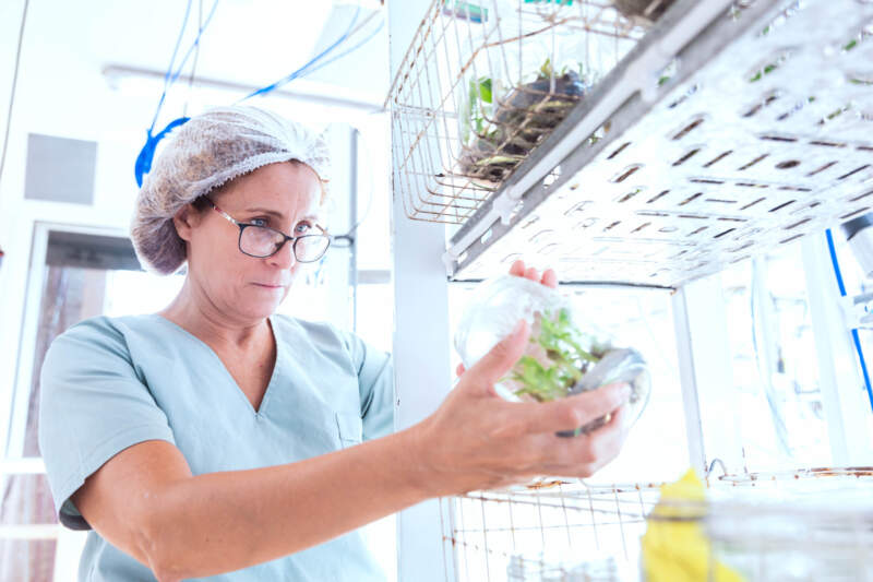 Biotecnología misionera, protagonista de este 2025 en la agroindustria provincial y nacional imagen-6