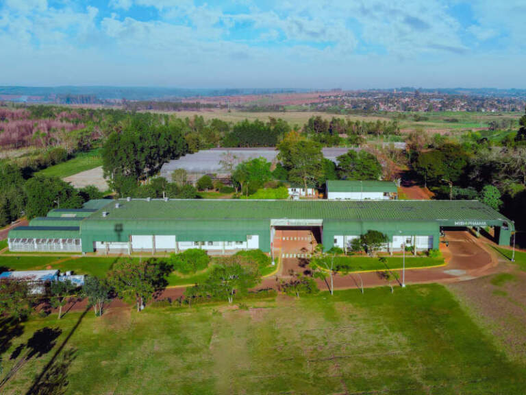 Biotecnología misionera, protagonista de este 2025 en la agroindustria provincial y nacional imagen-43