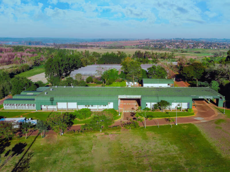 Biotecnología misionera, protagonista de este 2025 en la agroindustria provincial y nacional imagen-12