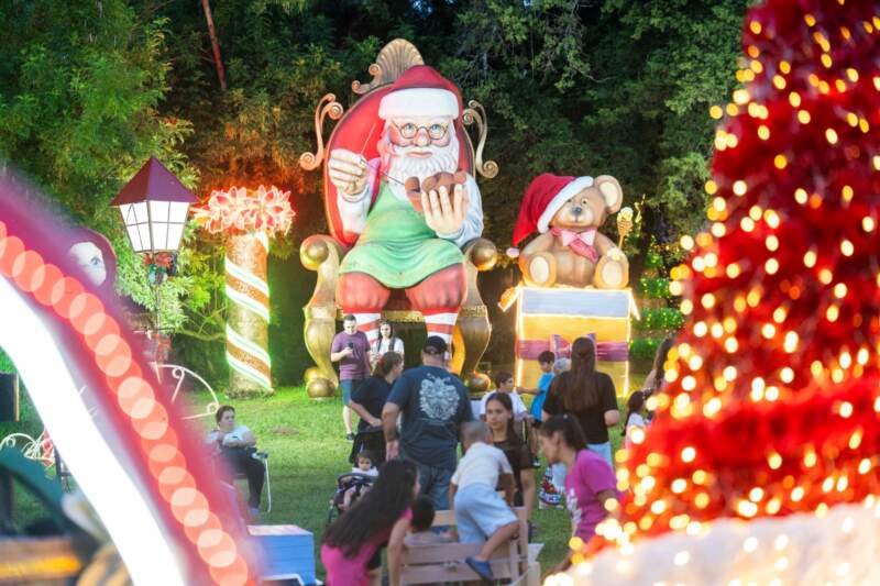 En Leandro N. Alem finalizó la fiesta navideña más grande de la Argentina imagen-2