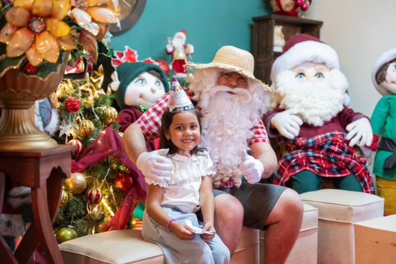 En Leandro N. Alem finalizó la fiesta navideña más grande de la Argentina imagen-8