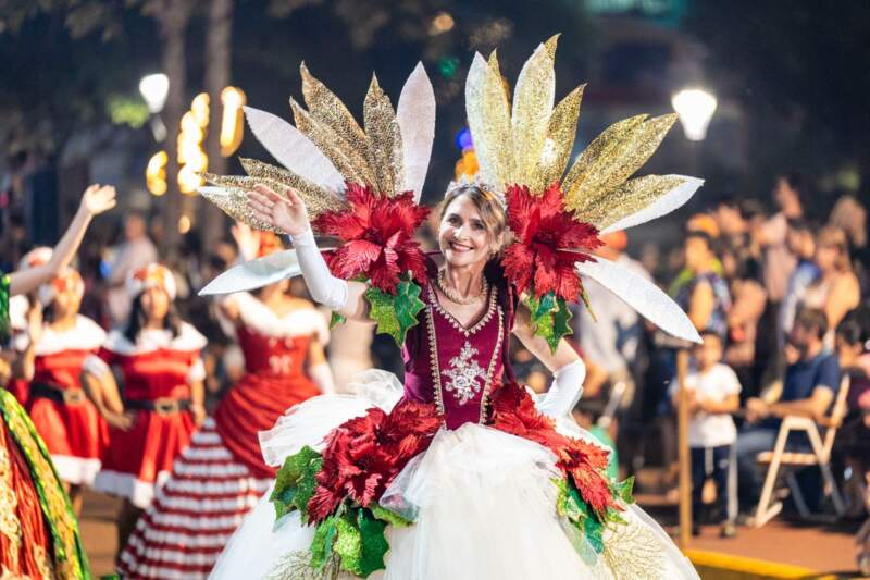 En Leandro N. Alem finalizó la fiesta navideña más grande de la Argentina imagen-22