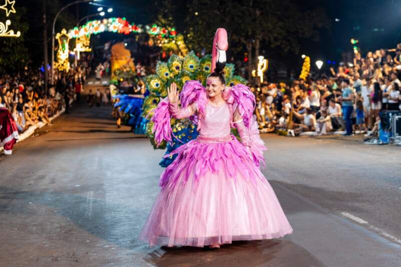 En Leandro N. Alem finalizó la fiesta navideña más grande de la Argentina imagen-32