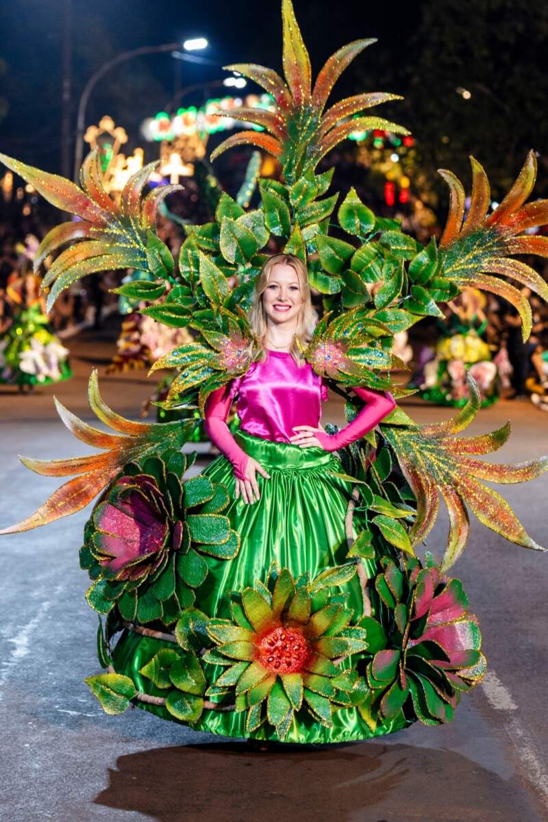 En Leandro N. Alem finalizó la fiesta navideña más grande de la Argentina imagen-36