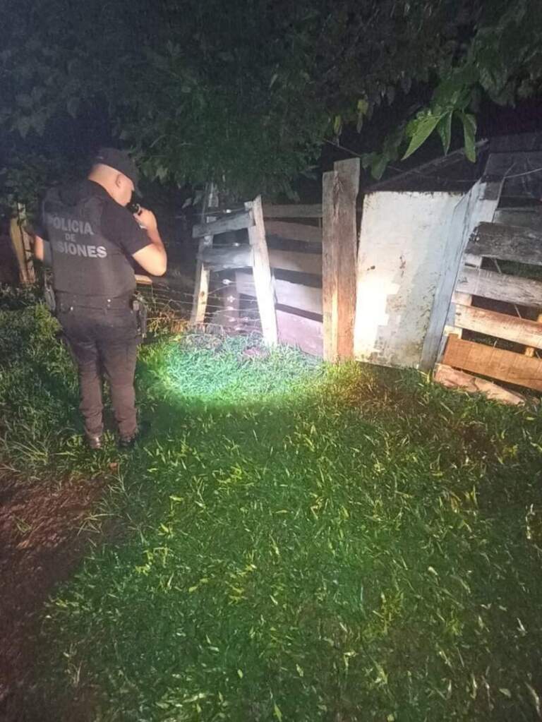 Una mujer fue atacada por un perro cuando regresaba de Brasil por un paso clandestino en San Antonio imagen-48