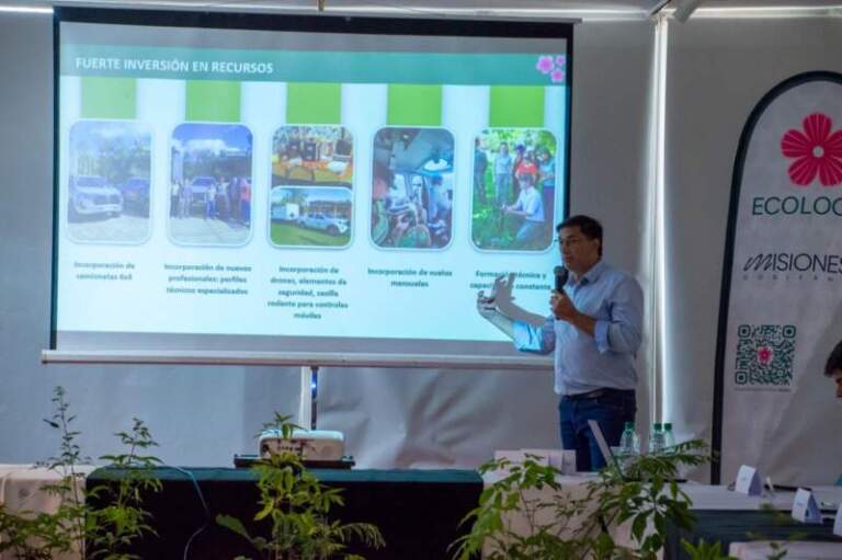 El Ministro de Ecología de Misiones se manifestó en contra de la derogación de la Ley de Bosques: “No se puede ir hacia atrás en el proceso de conservación” imagen-1