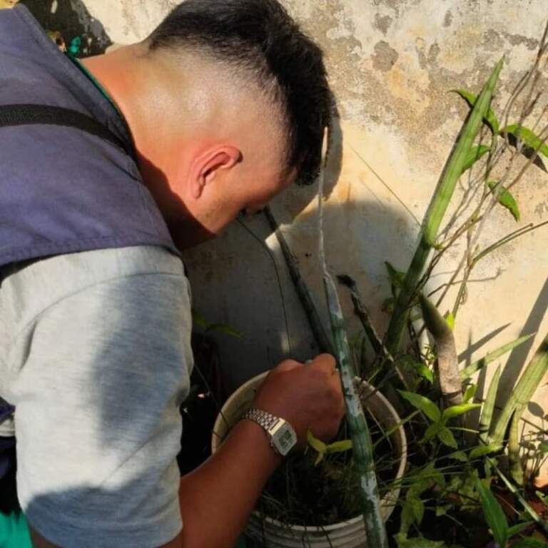 Neumáticos, floreros y portamacetas representan el 70% de los criaderos del dengue en Posadas imagen-22