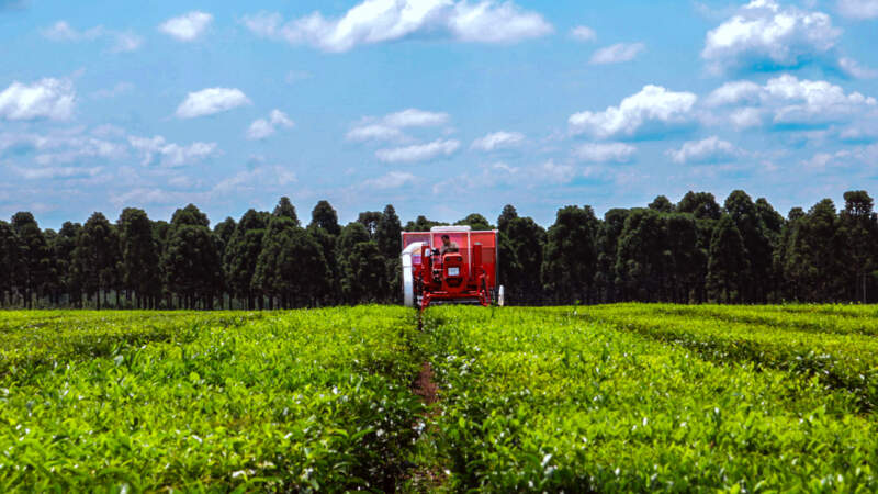 Agro de Misiones destaca que 2025 fue un año de "transformación productiva con impacto ambiental, social y económico" imagen-7