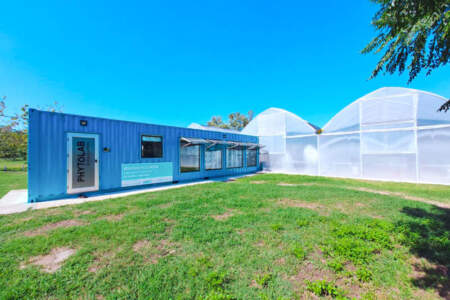 Biofábrica Misiones instalará un phytolab para producir kiwi imagen-11