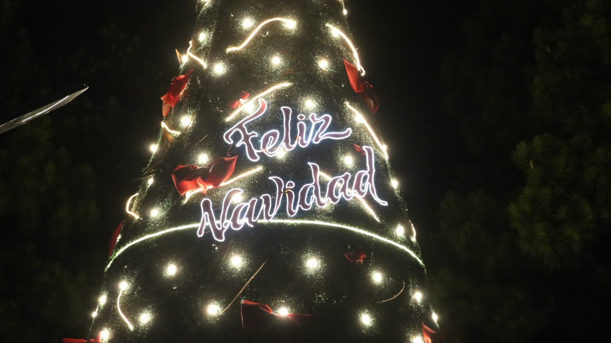 Oberá: se encendieron las luces del árbol navideño y se presentó el pesebre restaurado en la plazoleta Güemes 3 Oberá: se encendieron las luces del árbol navideño y se presentó el pesebre restaurado en la plazoleta Güemes imagen-2