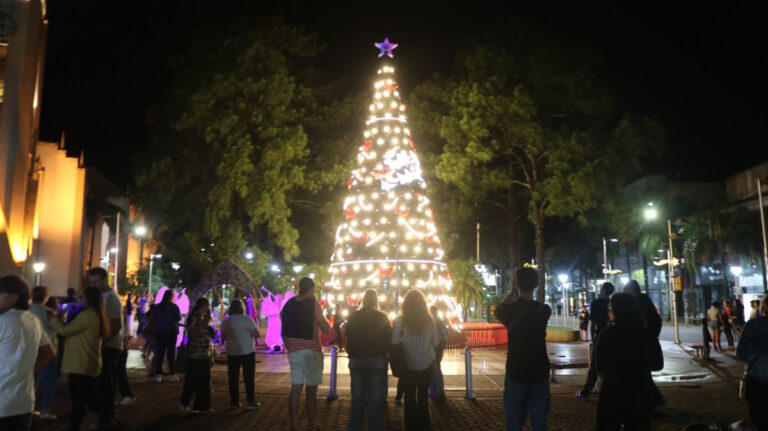 Oberá: se encendieron las luces del árbol navideño y se presentó el pesebre restaurado en la plazoleta Güemes imagen-42
