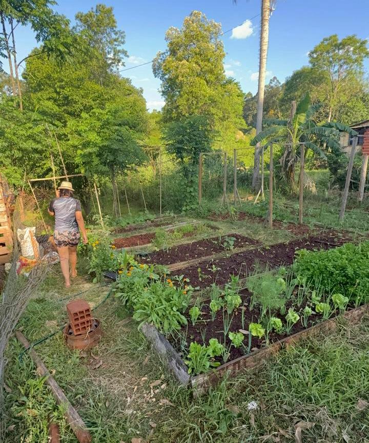 Productora de Puerto Leoni rescata 23 variedades de "tomates reliquia" y multiplica semillas propias imagen-6