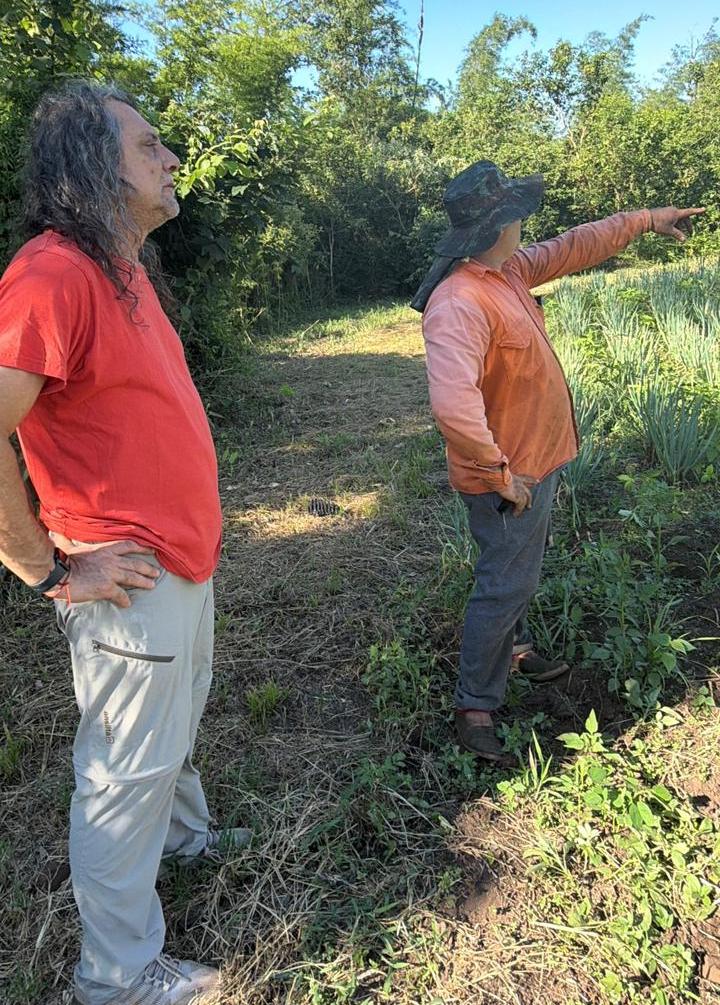 Solidaridad que alimenta: productores de Tierra, Techo y Trabajo donan parte de su cosecha a comedores imagen-18