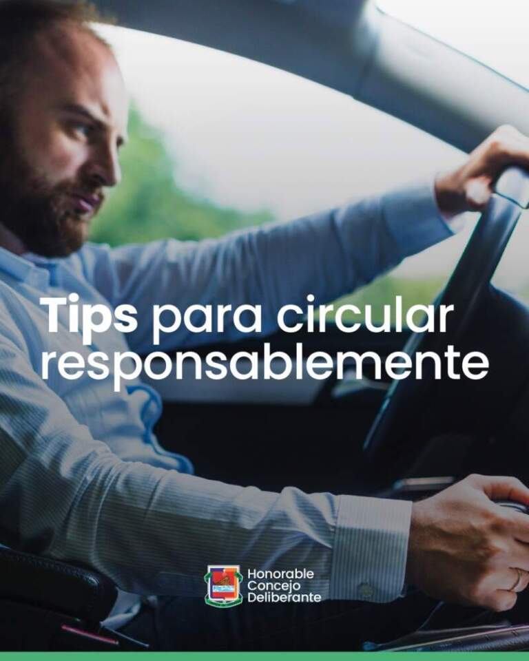 Conducir con tranquilidad: cuáles son los documentos y elementos de seguridad obligatorios para circular por la ciudad imagen-27