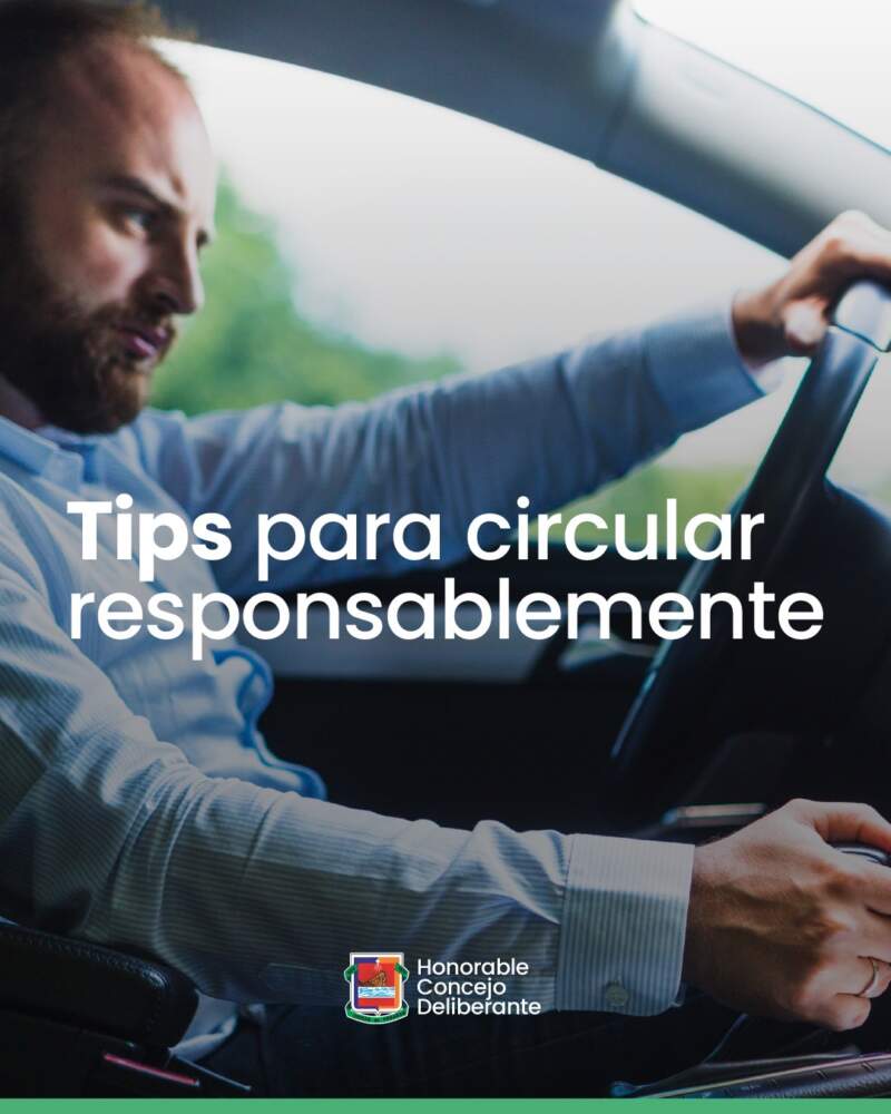 Conducir con tranquilidad: cuáles son los documentos y elementos de seguridad obligatorios para circular por la ciudad Conducir con tranquilidad: cuáles son los documentos y elementos de seguridad obligatorios para circular por la ciudad imagen-8