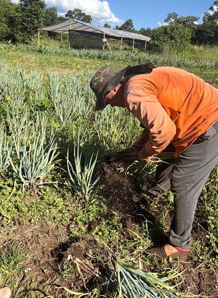 Solidaridad que alimenta: productores de Tierra, Techo y Trabajo donan parte de su cosecha a comedores imagen-10