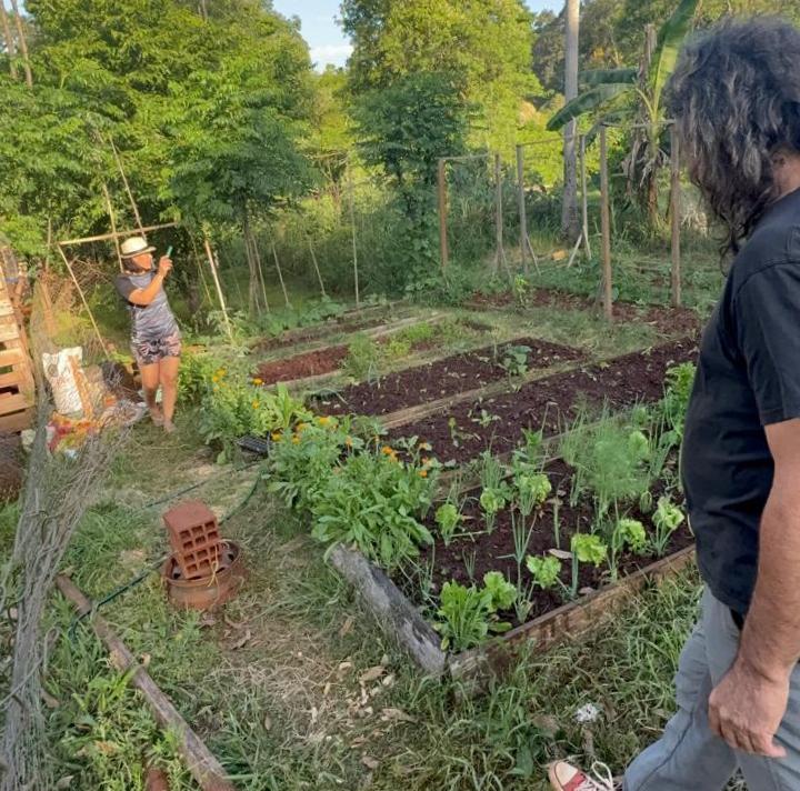 Productora de Puerto Leoni rescata 23 variedades de "tomates reliquia" y multiplica semillas propias imagen-2