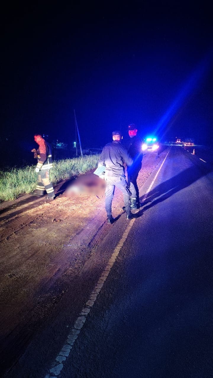 Falleció un peatón tras ser embestido en la Ruta Nacional 12, en Jardín América imagen-15