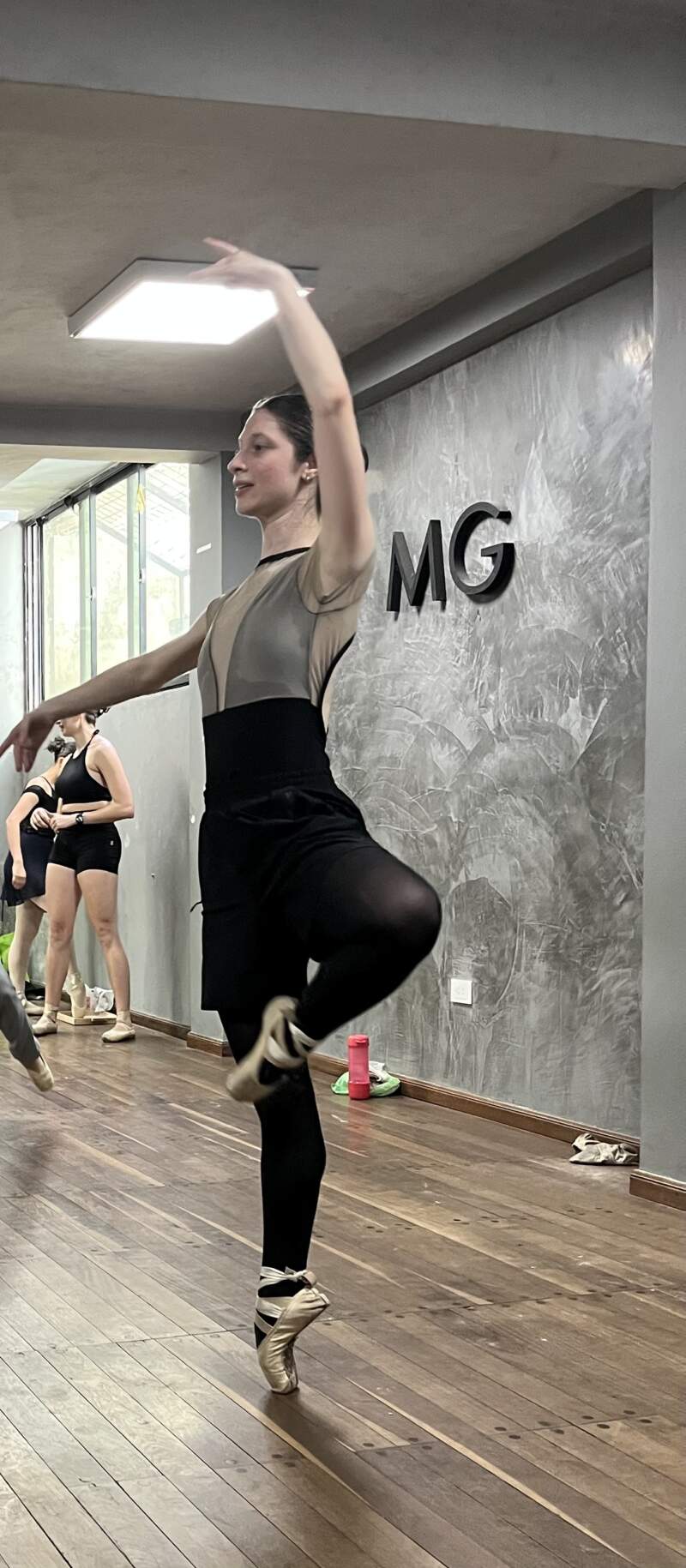 El Ballet Neoclásico Posadas abre inscripciones para su Seminario Intensivo de Verano y anuncia la creación de su Escuela de Formación Profesional 11 El Ballet Neoclásico Posadas abre inscripciones para su Seminario Intensivo de Verano y anuncia la creación de su Escuela de Formación Profesional imagen-10