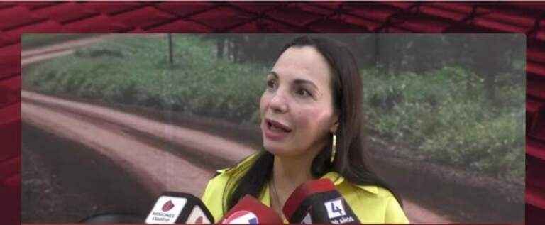 La Fundación Nuevo Comenzar ACV Misiones presentó una aplicación gratuita para la prevención y detección temprana del Accidente Cerebro Vascular imagen-21