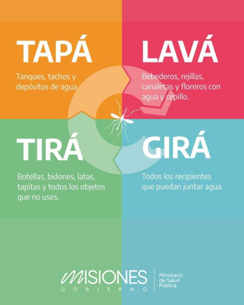 Cuatro acciones simples para frenar al mosquito: Salud Pública llama a reforzar la limpieza de patios ante el clima favorable al Aedes aegypti imagen-2