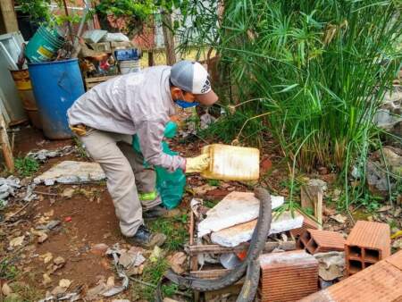 Cuatro acciones simples para frenar al mosquito: Salud Pública llama a reforzar la limpieza de patios ante el clima favorable al Aedes aegypti imagen-5