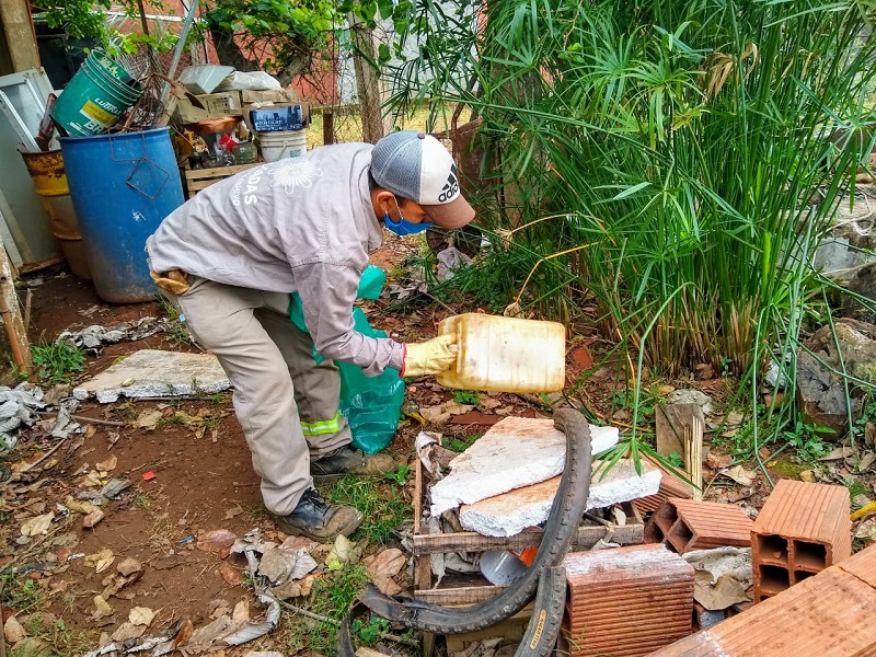 Cuatro acciones simples para frenar al mosquito: Salud Pública llama a reforzar la limpieza de patios ante el clima favorable al Aedes aegypti imagen-15
