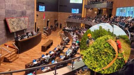 La crisis yerbatera se instaló en Legislatura Misionera: reclamos por precios, cuestionamientos a datos oficiales y faltazo de La Libertad Avanza imagen-8