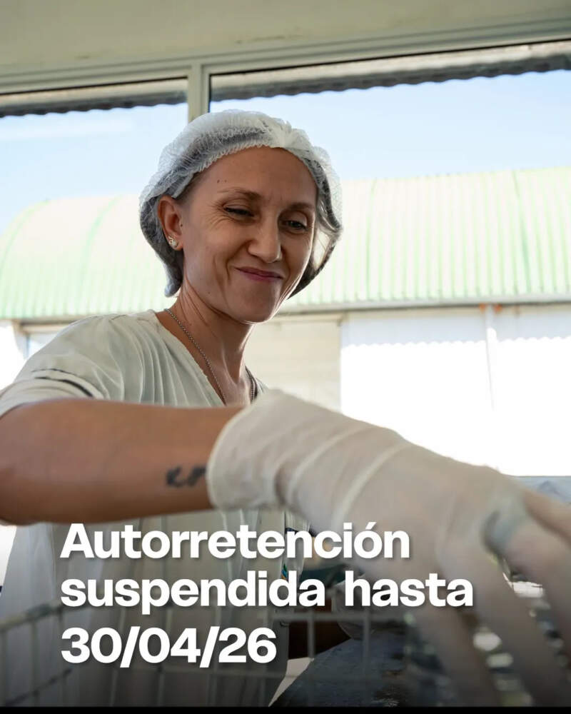 Passalacqua anunció la prórroga de las medidas de alivio fiscal en Misiones y confirmó beneficios impositivos hasta abril de 2026 imagen-2